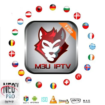 

Greek M3U Streaming Stable for Greece/UK/German/Cyprus/Arabic no APP included no channels included