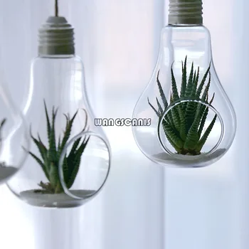 

New Fashion Flower Hanging Vase Glass Planter Plant Terrarium Container Home Wedding Decor