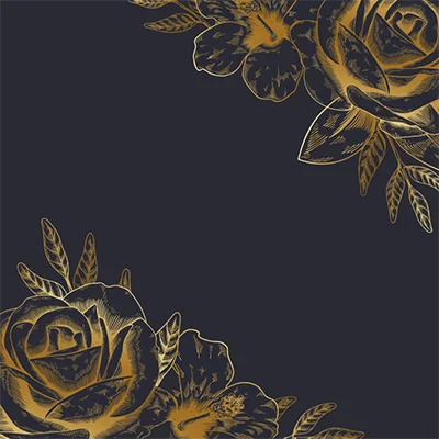 Image 31