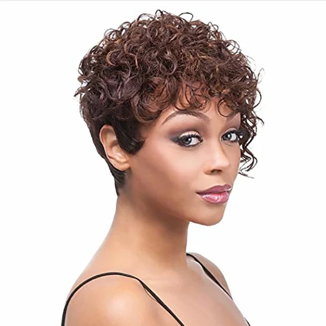 HAIRJOY Synthetic Hair Women Short Curly African American  Wig brown