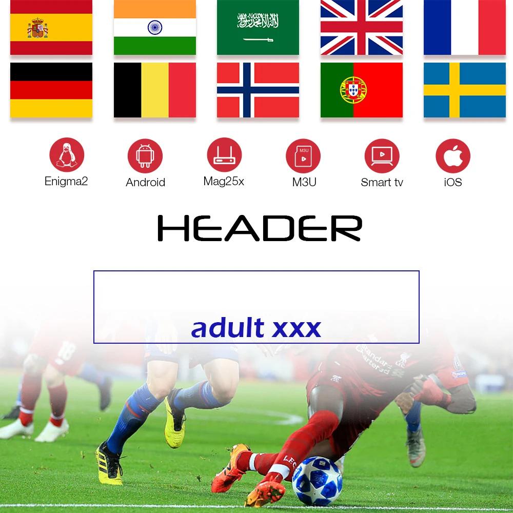 

King OTT -Spain Arabic UK Germany Nordic Sweden Portugal IPTV-M3U Android TV Box Smart TV Enigma2