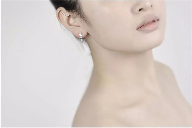 9496644562_1966409281