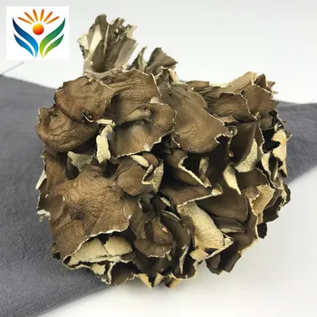 

Dried Maitake Mushroom Chinese Grifola Frondosa Dancing Mushroom Hui Shu Hua Improve Immunity Health Care