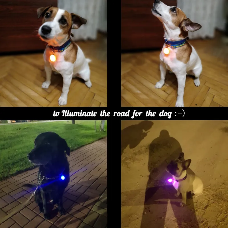 Pet Night Safety LED Flashlight Cat Dog Collar Leads Lights Glowing Pendant Necklace Pet Luminous Bright Glowing Collar in Dark0