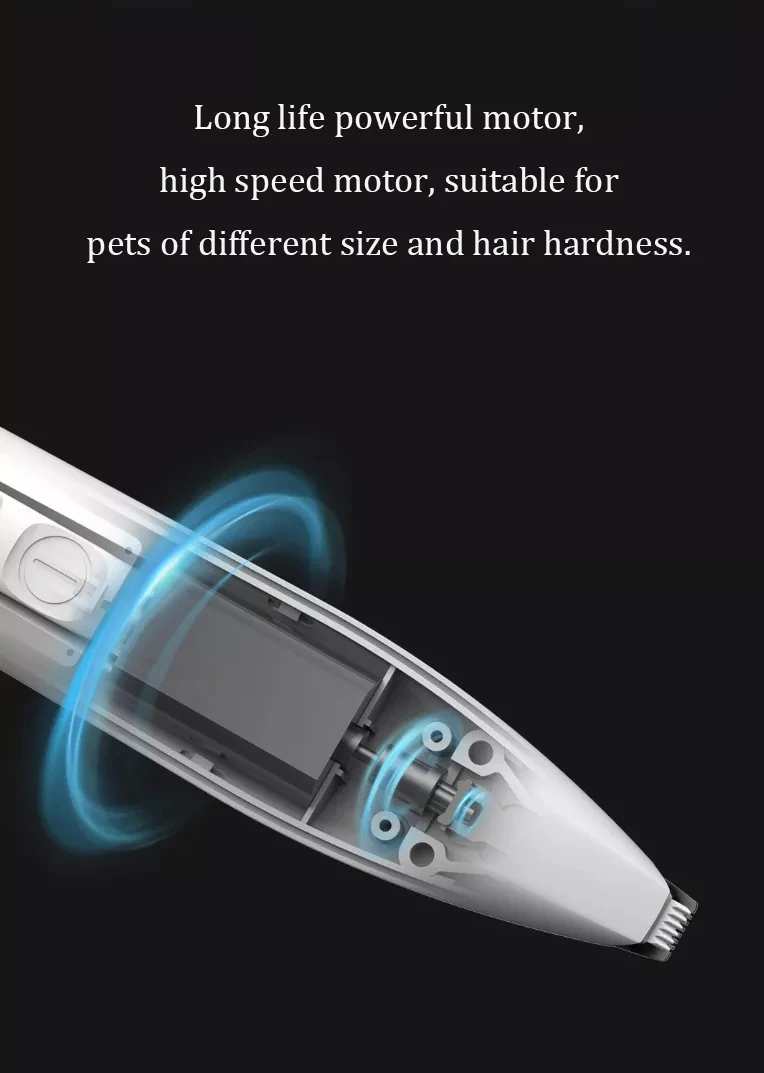 20190827_113052_001_07