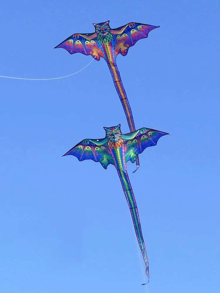 dragon kite for kids kite nylon 3d toys flying eagle kites children line weifang bird factory