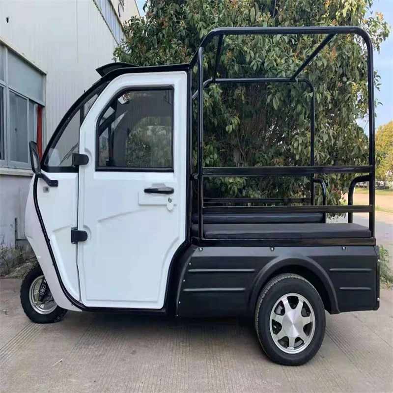 Mini Triciclo Eléctrico De Carga Goodstruck, Caja De Herramientas