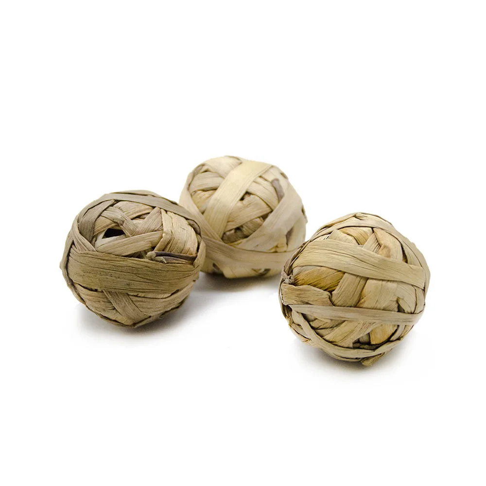 10194762774_1550852929