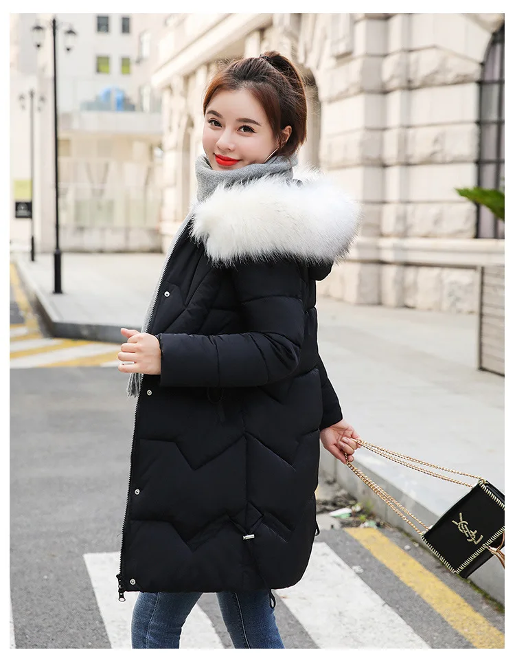 Cotton2_26.jpg