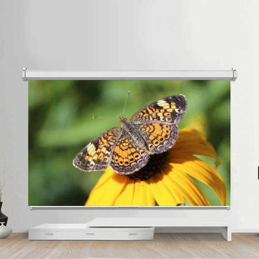84-120inch 16:9 HD Projector Screen 3D Film Portable Screen Curtains for Home Theater Classroom Training Conference Room