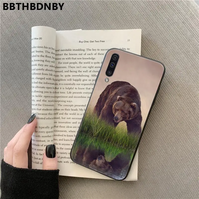 Bear