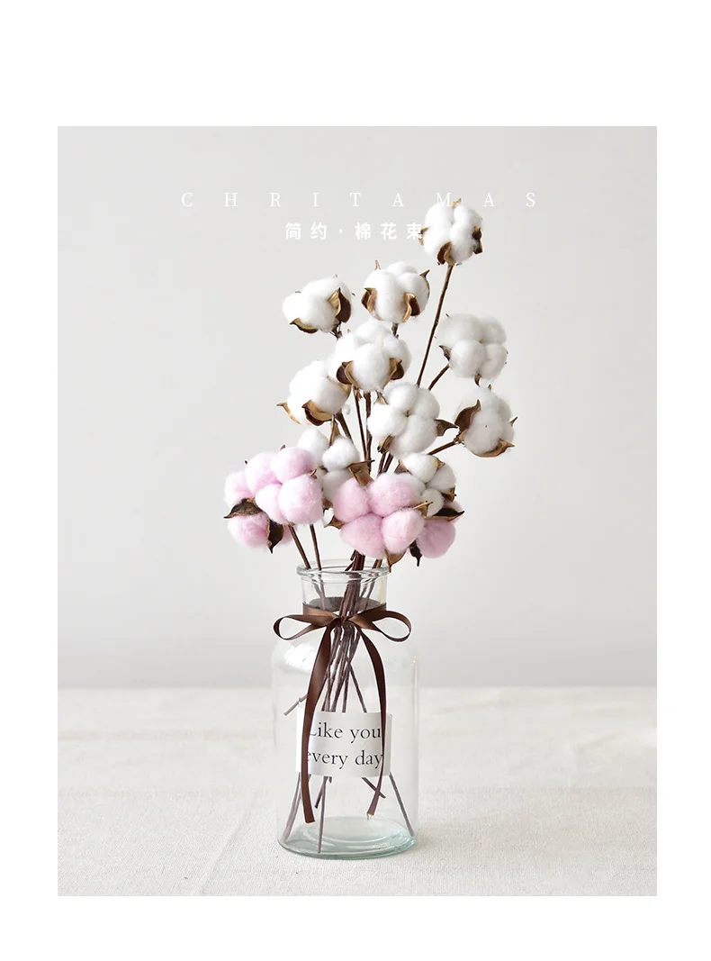 Branche De Coton Naturel Séchée - 53cm Avec 10 Fleurs - Décoration Bohème, Mariage, Intérieur - Sans Entretien