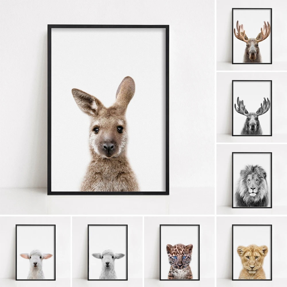 Kangaroo Print Australian Animal Wall Art Nursery Decor For Bedroom