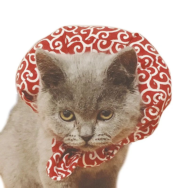 Горячая сумка для собак портативная переноска для собак дышащая сумка для кошек Милая посылка для питомцев для щенков принадлежности для кошек и собак товары для домашних животных