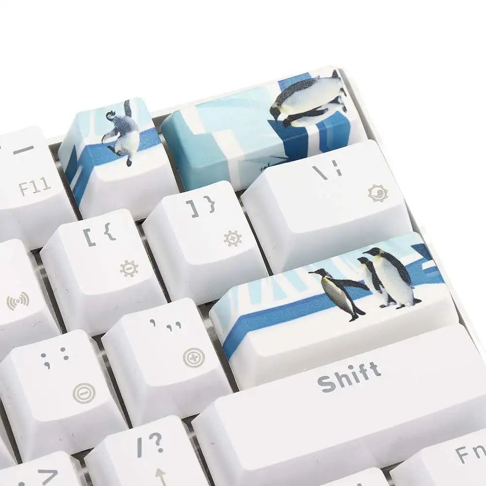 Five-sided Dyeing Space Bar Keycap PBT OEM Profile Antarctic Penguin Space Bar 6.25u Novelty Keycap + ESC Enter Keycaps Five-sided Dyeing Space Bar Keycap PBT OEM Profile Antarctic Penguin Space Bar 6.25u Novelty Keycap + ESC Enter Keycaps