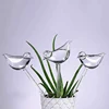 1pcs Automatic Flower Watering Device Plant Waterer Self Watering Globes Bird Shape Hand Blown Clear Aqua Bulbs ► Photo 1/6