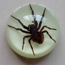 

Artificial amber stuffed insect specimen spider centipede scorpion bat creative gift home table 6.3x3cm