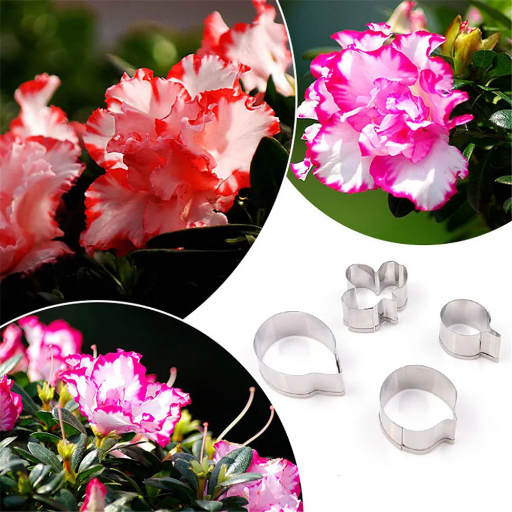 

Cookie Fondant Cutters Stainless Steel Belgium Azalea Flower Petal Shape Clay Cutter Designer DIY Floral Cutting Mould Tools