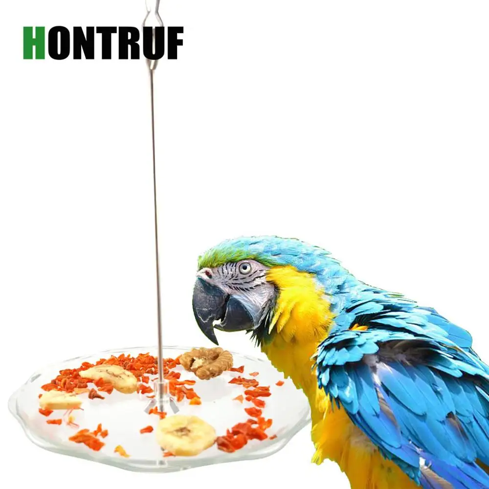 

Parrot Toy Bird Toy Parrot Stainless Steel Fruit Fork Plastic Fruit Plate Food Feeder Food Box Food Bowl Pet Supplies