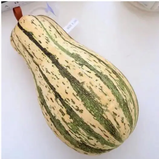 Gourd Игрушек! Милая плюшевая игрушка, прекрасный растительный картофель, рыба, кукуруза, гриб, лук, брокколи, мягкая кукла, подвеска, подарок на день рождения, Рождество - Цвет: Gourd
