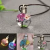 New Luminous Dried Flower Butterfly Glass Ball Women Necklace Pendant Rope Chain Necklace for Women Strip Leather Choker ► Photo 1/6