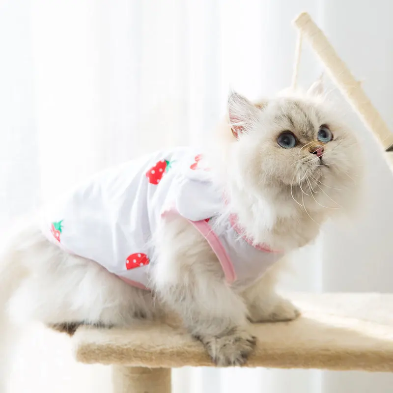 2020 New Cat Clothes Summer Thin Breathable Vest Cute Strawberry Dog Shirt Clothing Pet Supplies