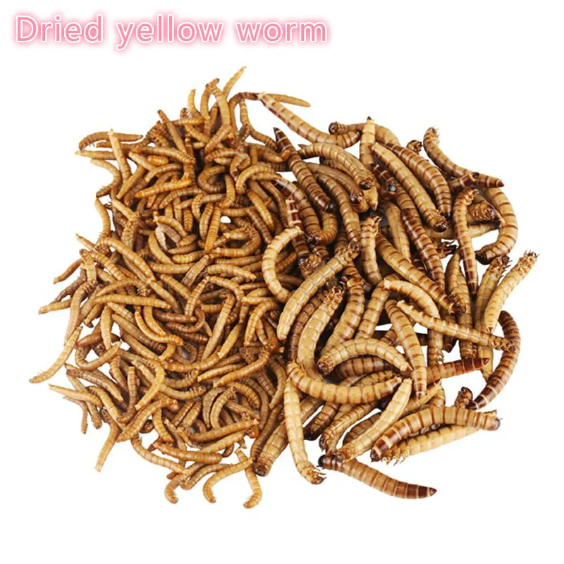 Mealworm-comida Natural seca para alimentación de reptiles, pollos, jardín salvaje, aves, acuario, gusano, 50/100/200g