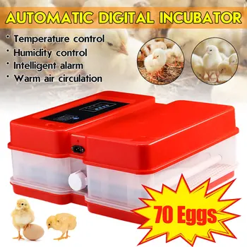 

Newest Farm Hatchery Incubator Brooder Machine 70Egg Hatchers Cheap Price Chicken Automatic Eggs Incubator Bird Quail Brooder