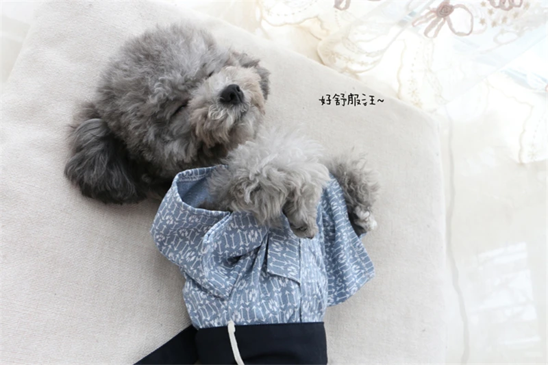 Dog shirt Japanese style (13)