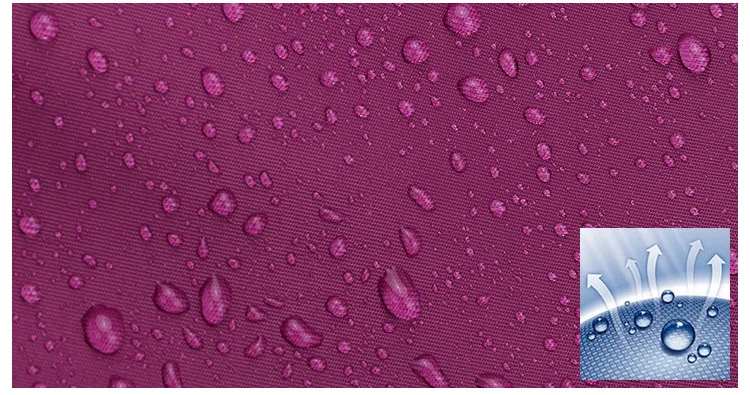 10531456859_1599111822