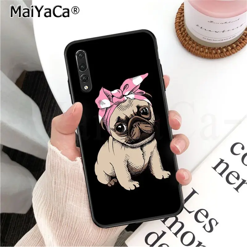 Frenchies Pretty puppy Pug Bulldog