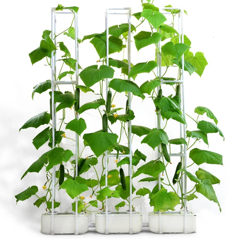 

Soilless Cultivation Flowerpot Nursery Pot Home Indoor Water Culture Box Automatic Watering Balcony Vegetable Planting Box
