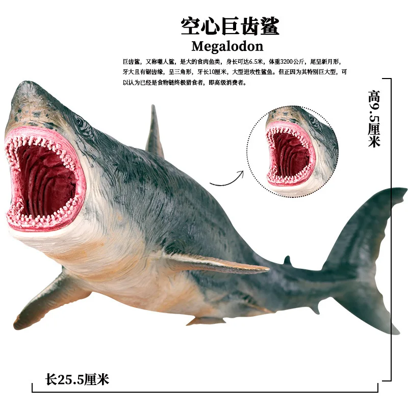 

Children Model Marine Organism Underwater World Model Hollow Great White Shark Megalodon Toy Decoration Set