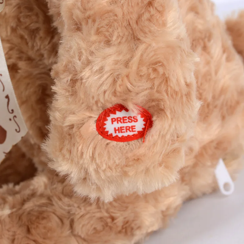 

Yisheng CHILDREN'S Toy English Voice Dialogue Smart Bear Toy Ys2931a Plush Bear Toy