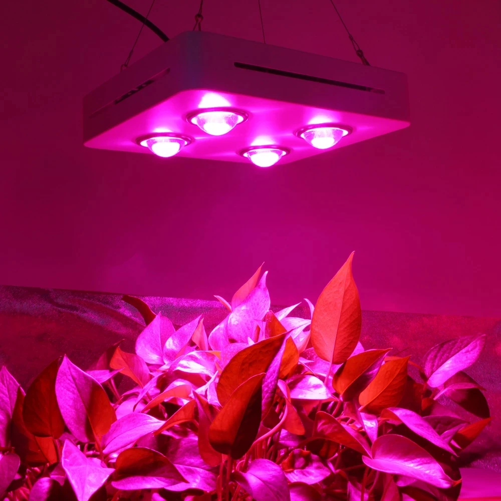 COB LED Grow Light Full Spectrum 600W COB High Luminous Efficiency for Indoor Hydroponic Greenhouse Plant Growth Lighting. purple flood lights