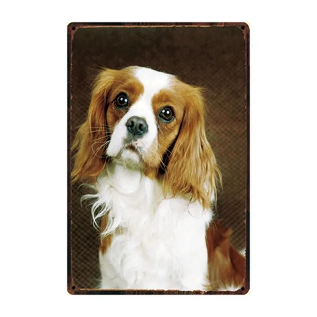 Правила собаки бульдог боксер Beagle Great Dane металлические вывески прекрасный оловянный плакат домашний Декор Бар сад стены Искусство железные жестяные картины