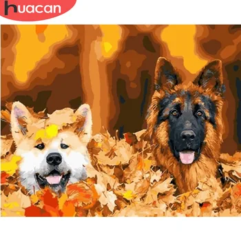 

HUACAN Pictures By Numbers Dog Animal Kits Drawing Canvas Hand Painted DIY Painting Coloring Art Home Decor