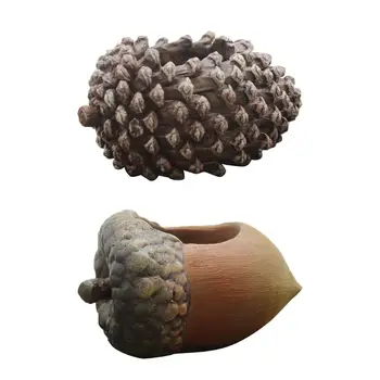 

Mini Filbert Pine Cone Succulent Plants Planter Flowerpot Vase Bonsai Landscape
