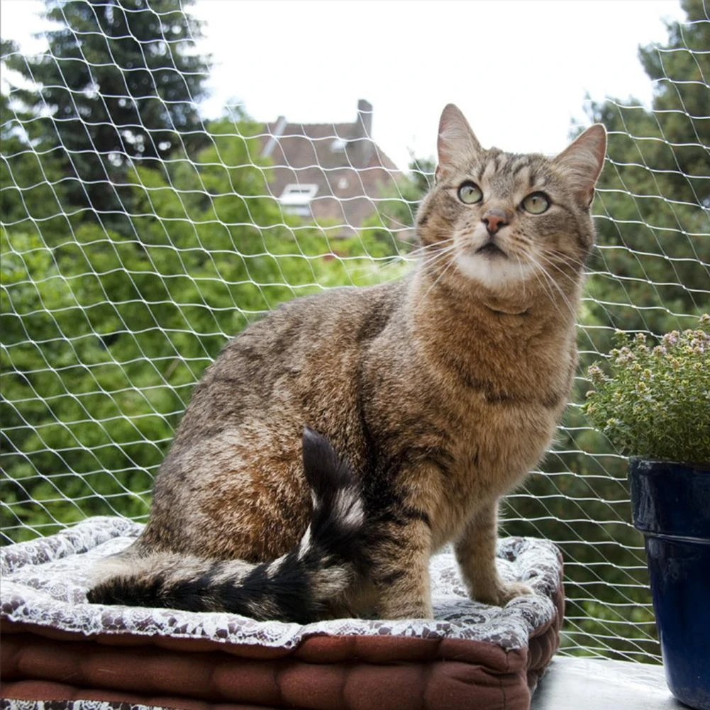 una vez Imbécil alfiler Red protectora de plástico para gatos, red de protección para mascotas,  resistente, cubierta de alambre segura para ventanas de balcones|Cajas y  jaulas de gatos| - AliExpress