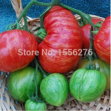 Супер-доступный! 100 ОО-"Винтажное вино" томатные Oofruit Овощные семена