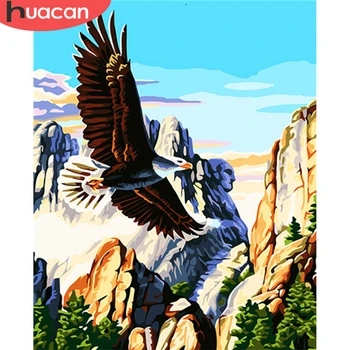 

HUACAN Picture By Numbers Eagle Animal Drawing Acrylic Gift Home Decor Oil Painting By Number Handpainted Wall Art