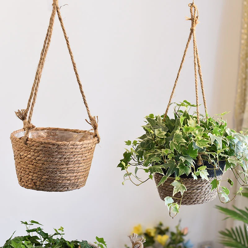 

Cany Weave Flowerpot Grass Weaving Hanging Baskets Hang Orchids Hung Flower Basket Wall Hanged Orchid Hander Basketry