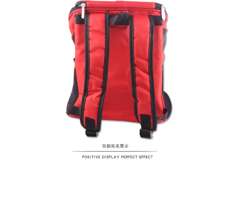 4533553807_1385283841