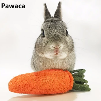 

Nature chew pet toys for rat bunny rabbit guinea pig chinchilla hamster pine cute adorable Carrot shaped small animals