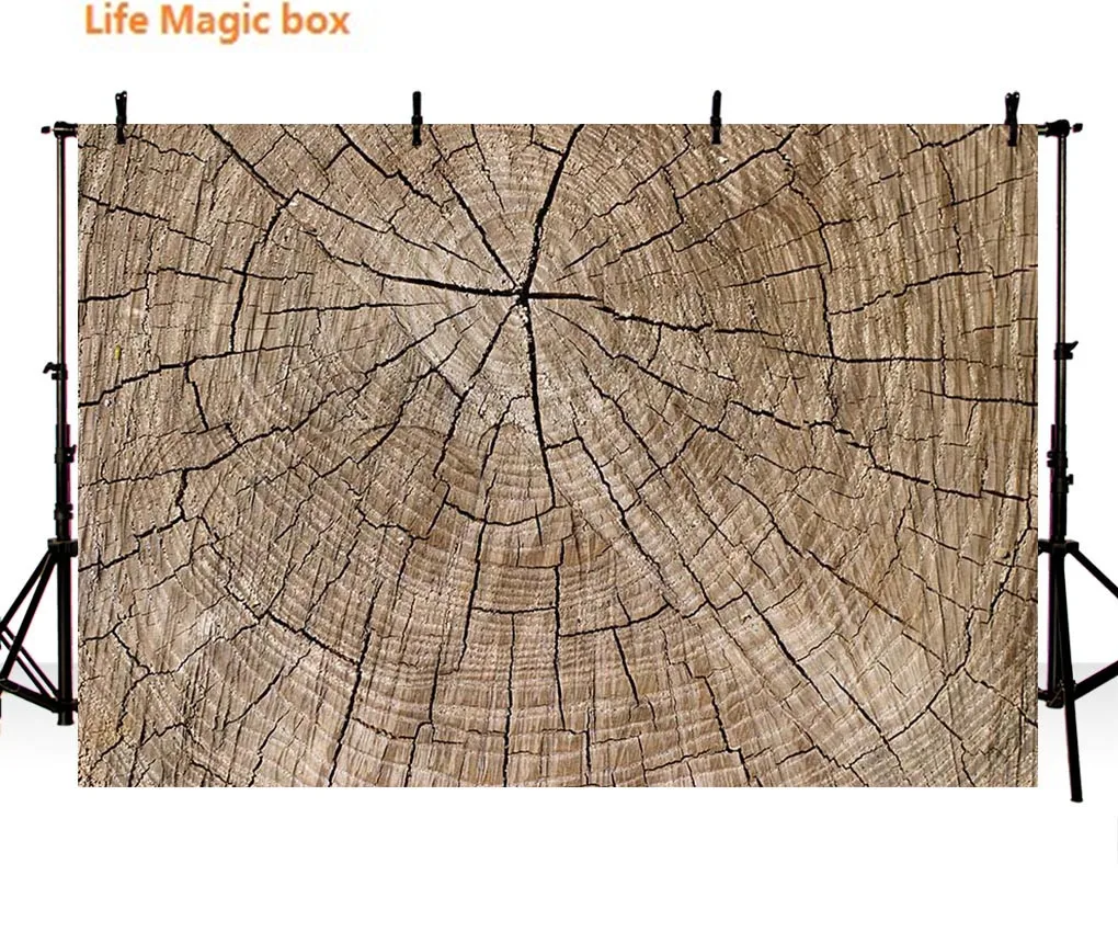 Photoshoot Sfondo Vinilo Suelo Albero Ruota Woodland Partito Foto-024