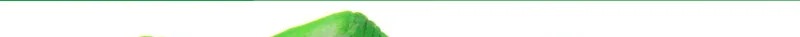 Hot Selling Rubber Locust Model Software Mantis Children Animal Model Toy Spoof Scary Toy