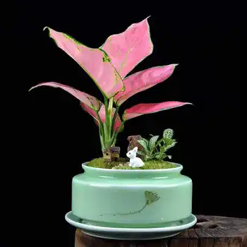 

Creative Ceramic Succulent Flower Pot Modern Minimalist Hotel Living Room Office Hand-painted Large Plant Jasmine Flower Pot