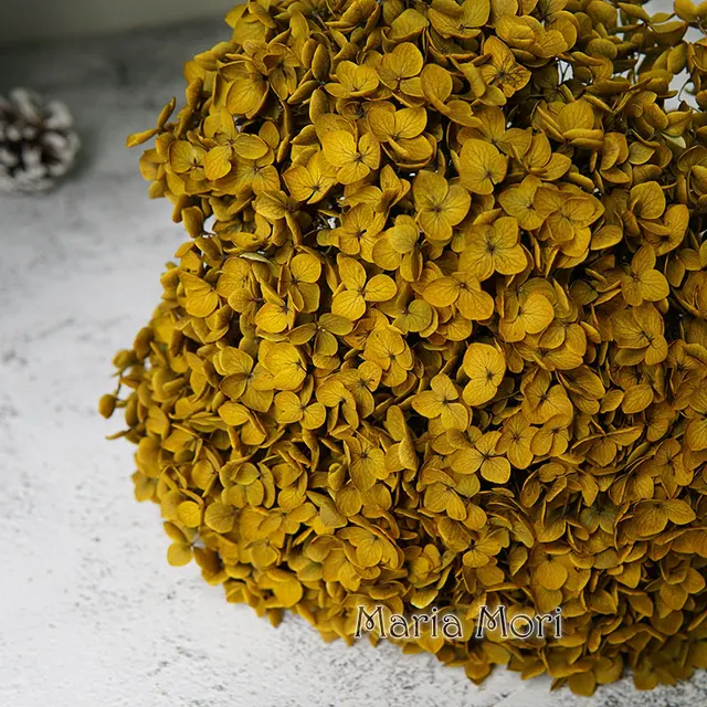 Anna Hydrangea  Flowers  Little  Leaves Preserved Hydrangea Decor  Office Decor  DIY Flowers Color S011