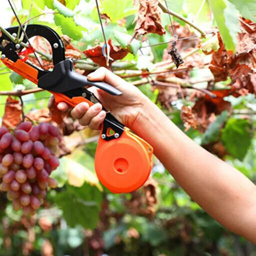 61W4AGujNiL._SL1024_