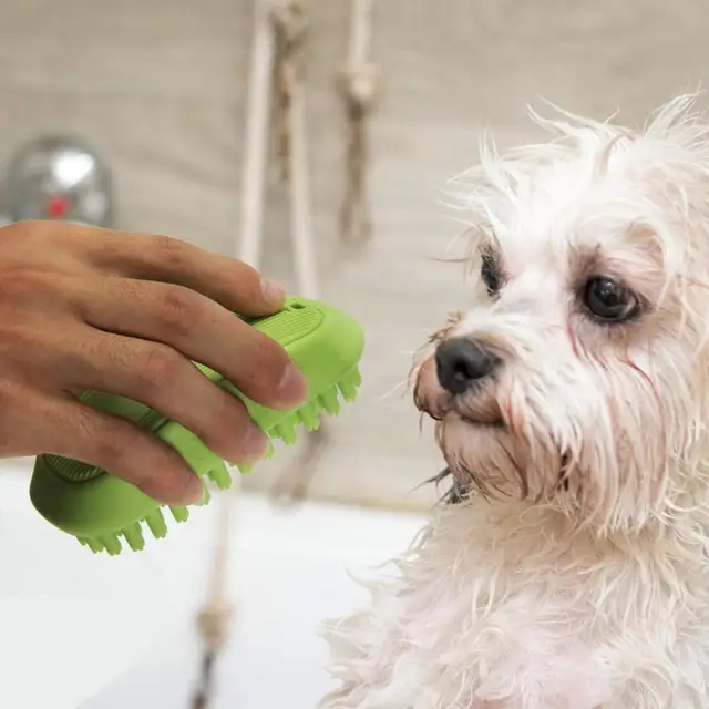 Bath & Massage Brush  2